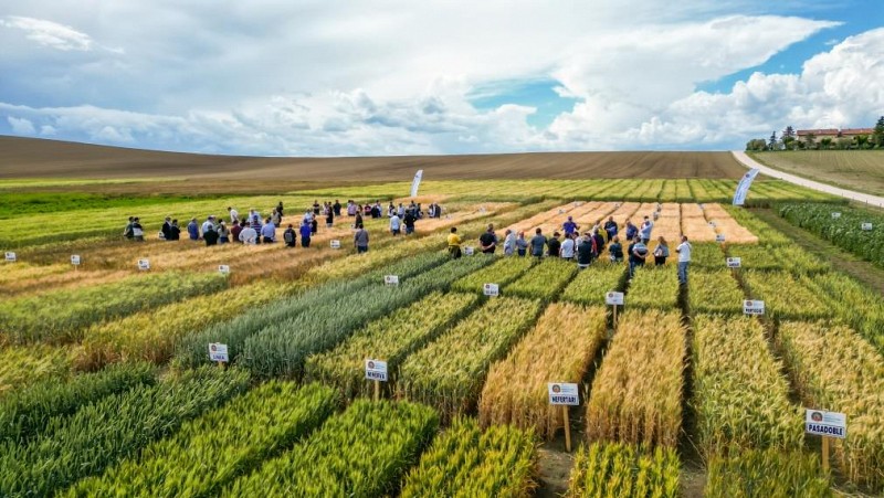 Giornata in Campo a Tolentino, in collaborazione con Barilla