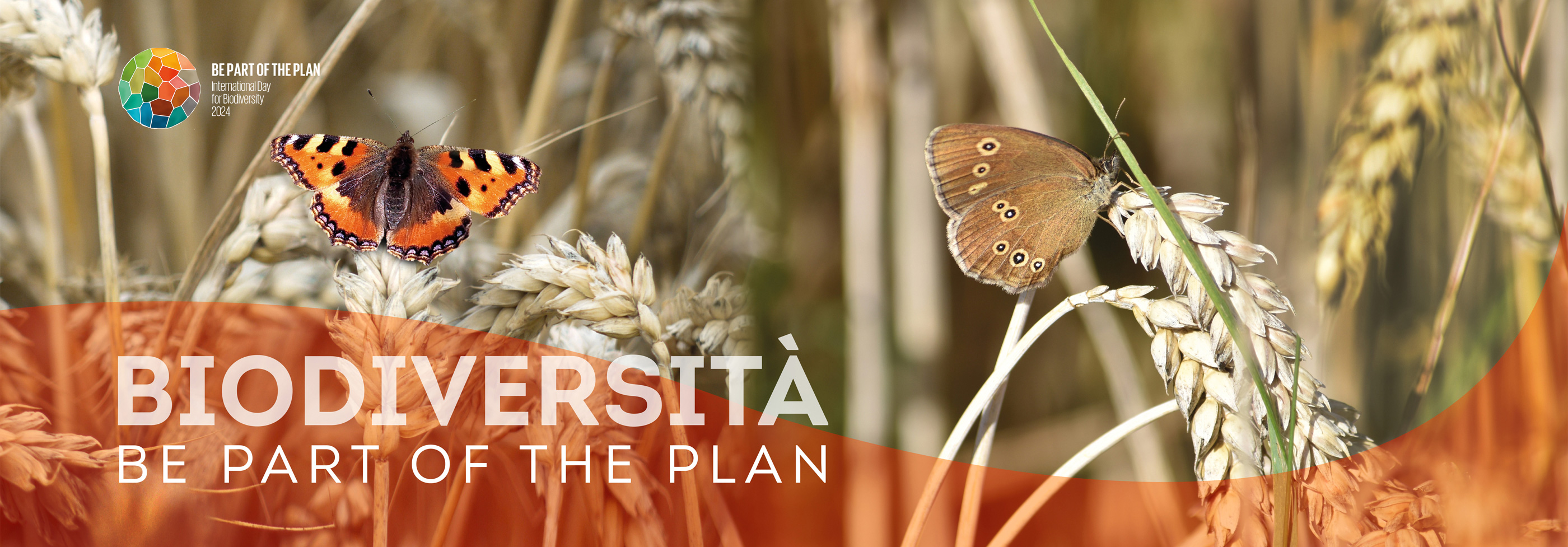 Semi Certificati - Psb Sementi